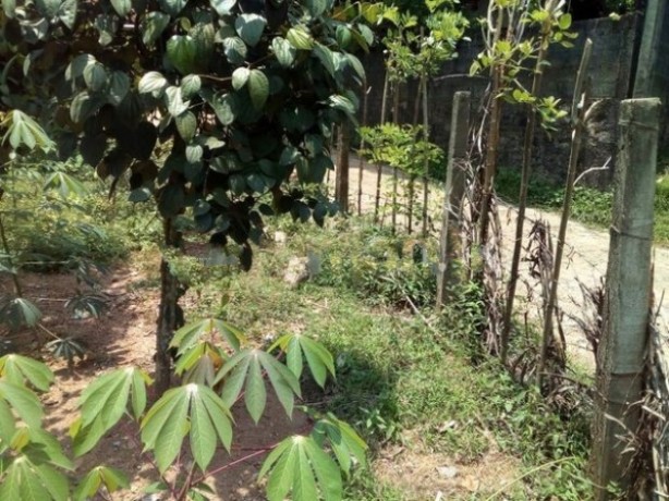 Land For Sale In Pugoda