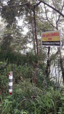 Land For Sale In Nuwara Eliya