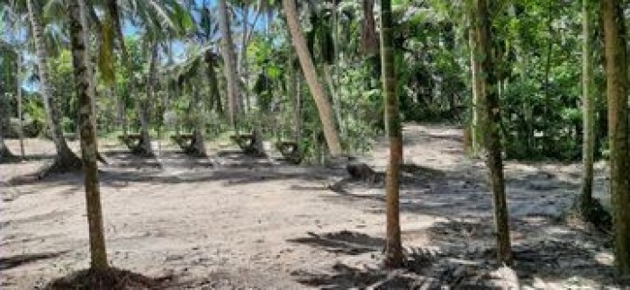 Land For Sale In Kurunegala