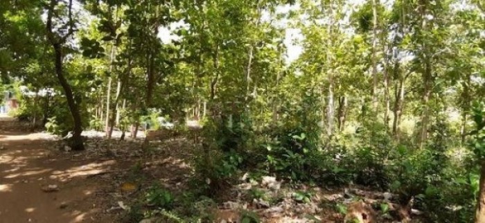Land For Sale In Anuradhapura