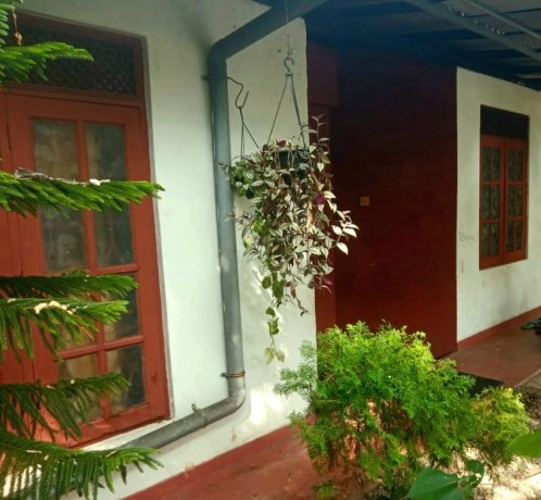 House For Sale In egodawaththa