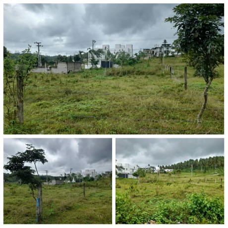 Land for Sale In Wawulugala