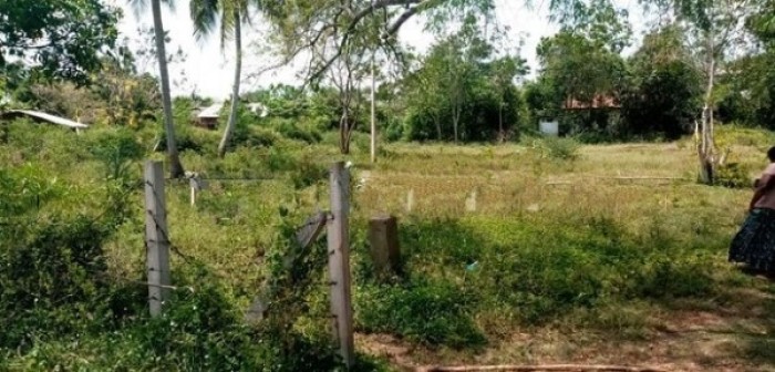 Land For Sale In Hungama