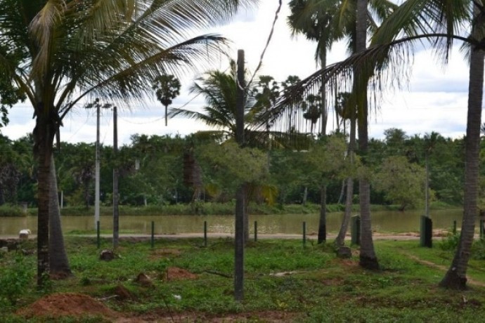 Land For Sale In Kurunegala