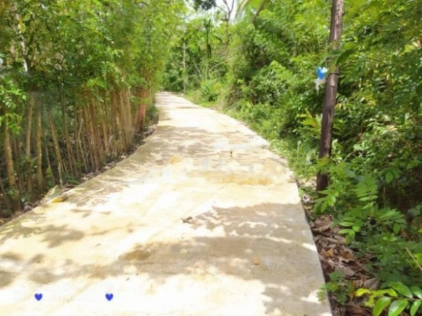 Land For Sale In Tangalla