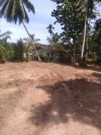 Land For Sale Elpitiya