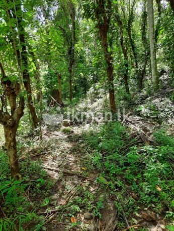 Land for Sale - Kandy