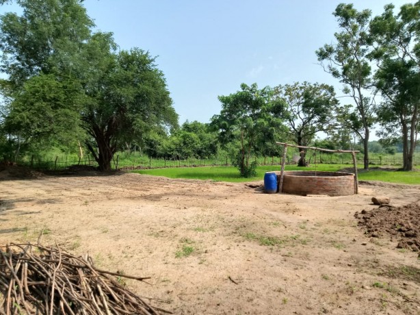 Land for sale in anuradhapura