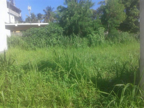Land For Sale In Mirissa