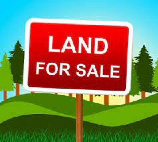 Land For Sale in Ambalantota